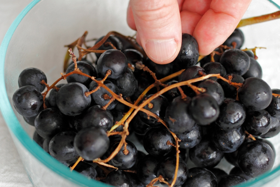 Anggur hitam kaya untuk kesihatan mata.