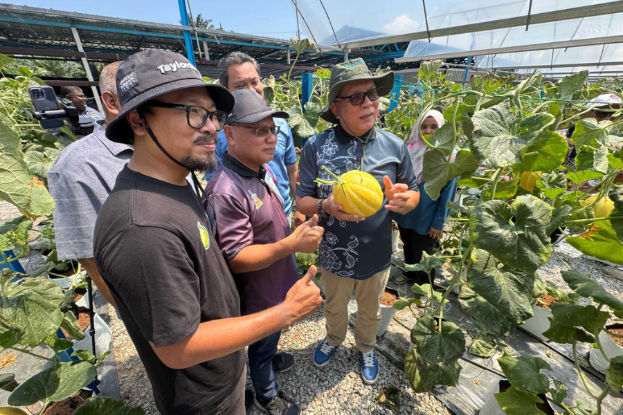 Izham mengajak orang ramai menyertai peraduan cadang nama rasmi melon Selangor.