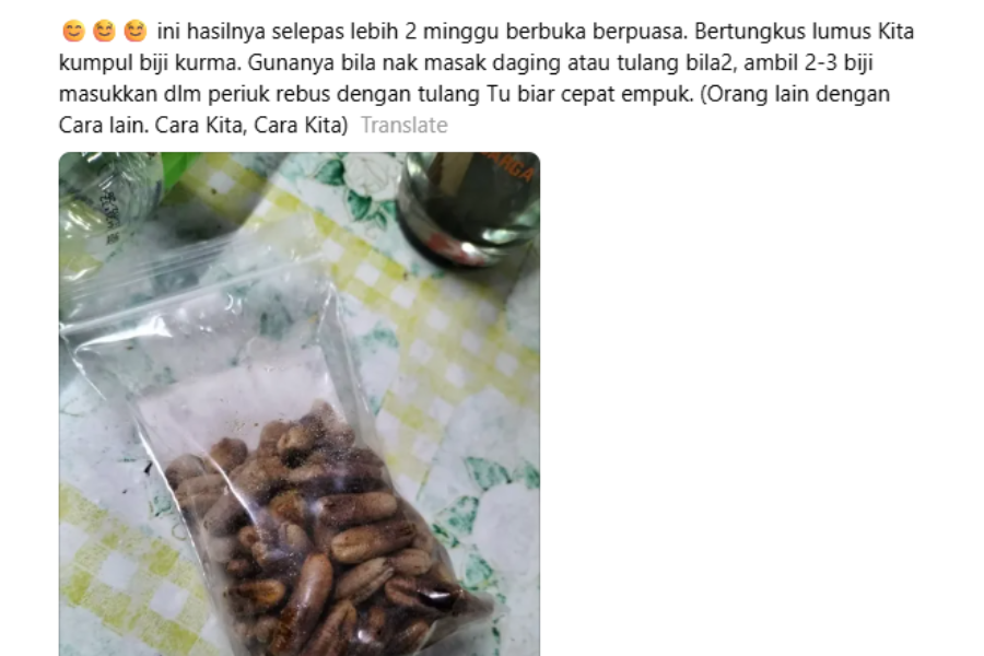 Wanita itu mula mengumpul biji kurma untuk kegunaan masakan.