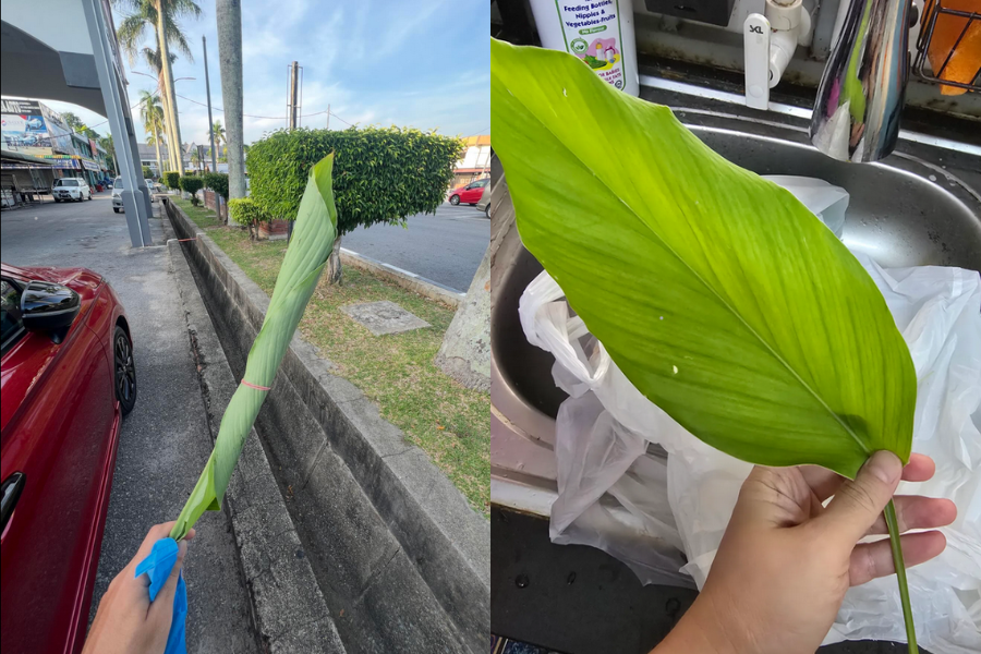 Netizen berkongsi pengalaman tentang harga daun kunyit melambung. Gambar : Threads