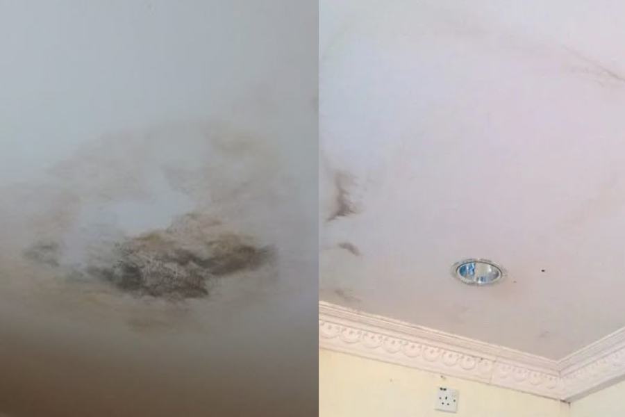 Kulat pada siling rumah terhasil apabila sistem saluran air bocor.