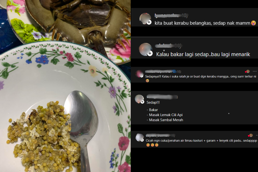 Menu belangkas turut menjadi kegemaran warga maya. 