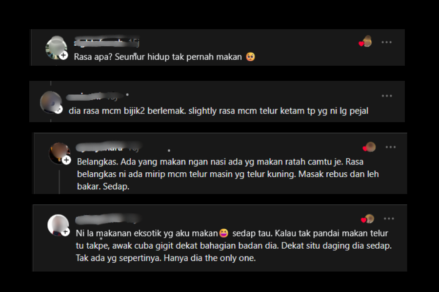Antara komen netizen.