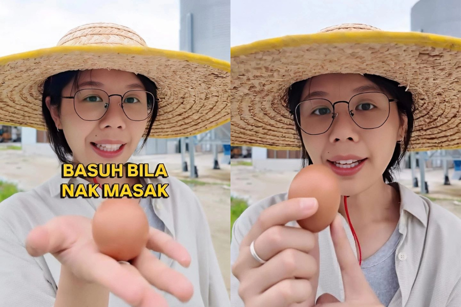 Penternak dan penjual telur ayam ini menerangkan sebab telur tidak boleh dibasuh sebeum disimpan.