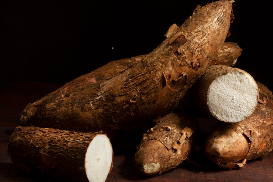 Ubi kayu boleh dijadikan sebagai sumber utama karbohidrat.