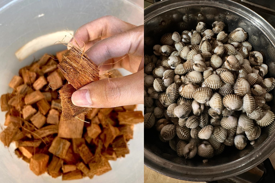 Kotoran yang melekat pada kerang dapat ditanggal apabila disental dengan hampas.