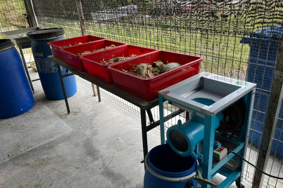 Sisa makanan diasingkan bagi sebelum dikisar menggunakan mesin khusus.