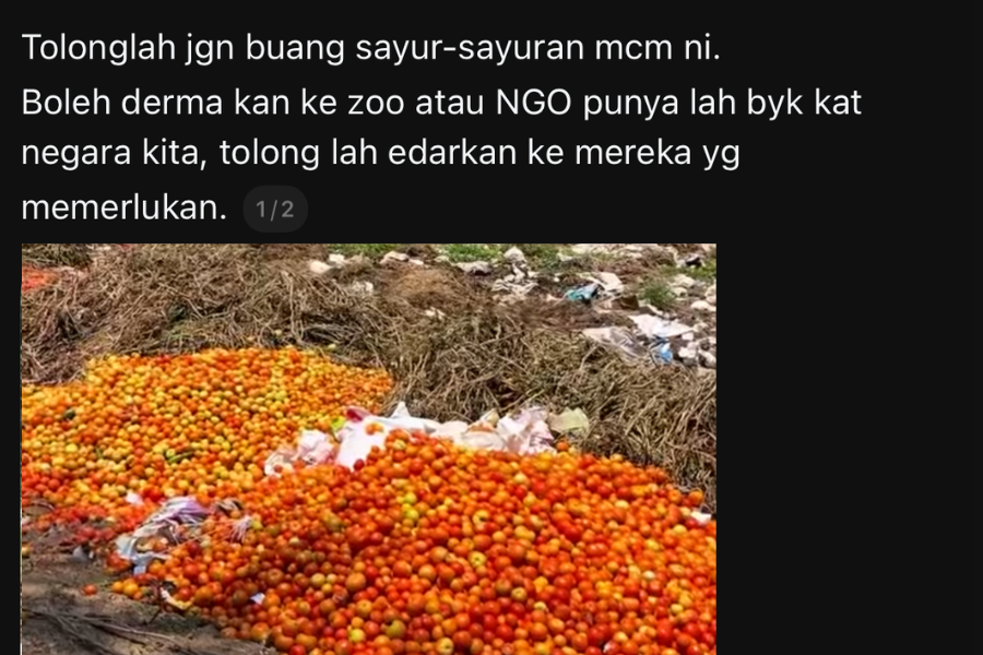 Individu itu menyarankan agar sayuran tersebut disumbangkan ke zoo.