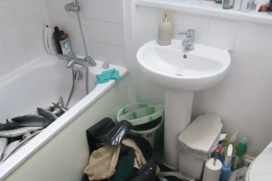 Beberapa ekor ikan dipercayai disimpan di dalam tab mandi di premis berkenaan. - Watford Borough Council