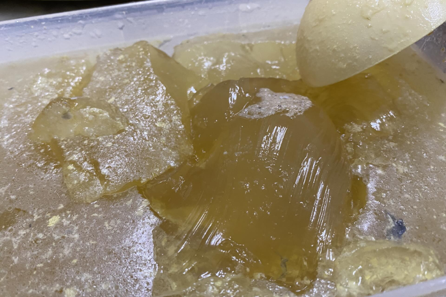 Jeli yang dihasilkan menggunakan air rebusan ikan tongkol.