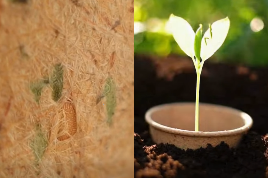 Idea mesra alam memberi pendekatan baharu dalam cara manusia melihat sisa harian. 