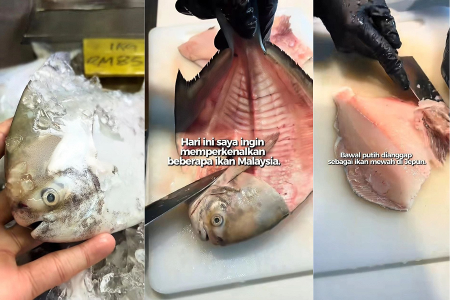 Ikan bawal putih dianggap ikan premium di Jepun kerana harganya yang mahal.