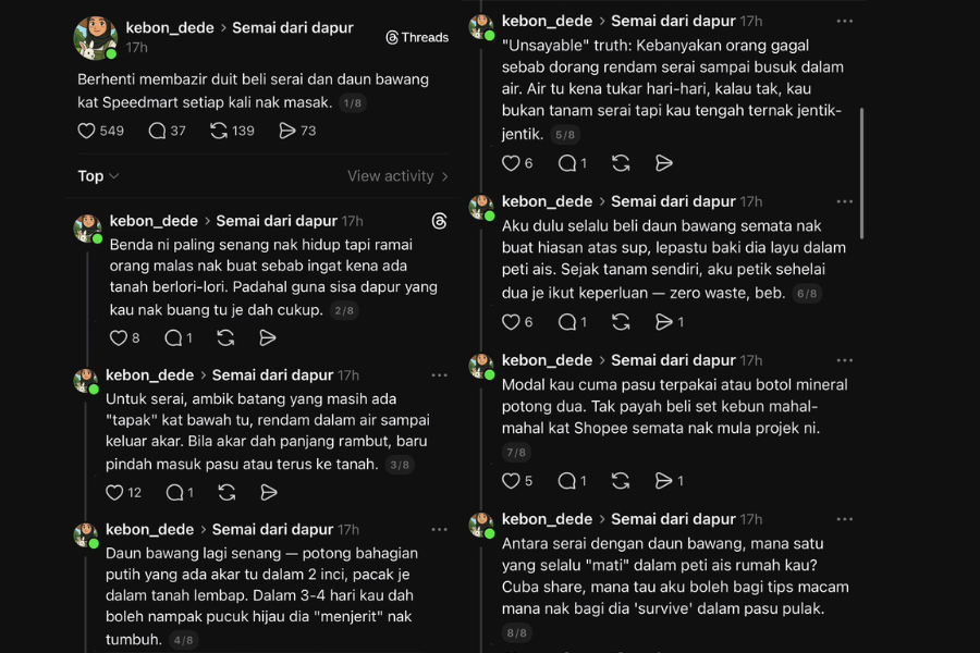 Perkongsian tersebut mencuri perhatian kebanyakkan pengguna Threads yang berminat dengan penanaman sayuran di rumah.