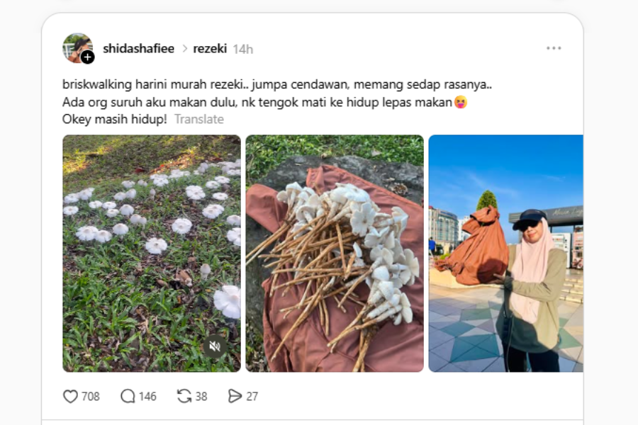Wanita itu memberitahu cendawan yang dimasak cukup sedap.