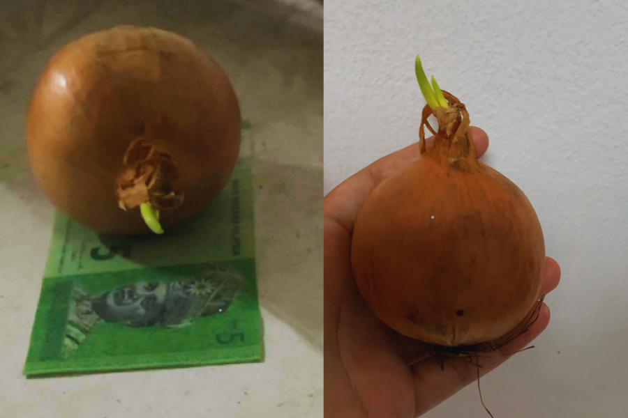 Pelanggan berkenaan turut berseloroh RM5 dijadikan upah ditinggalkan dibawah bawang dan bahan masakan itu masih selamat.