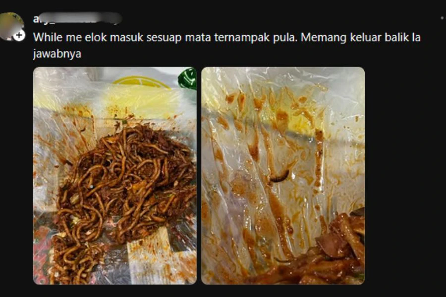 Warga maya turut berkongsi pengalaman menjumpai benda asing dalam makanan mereka.