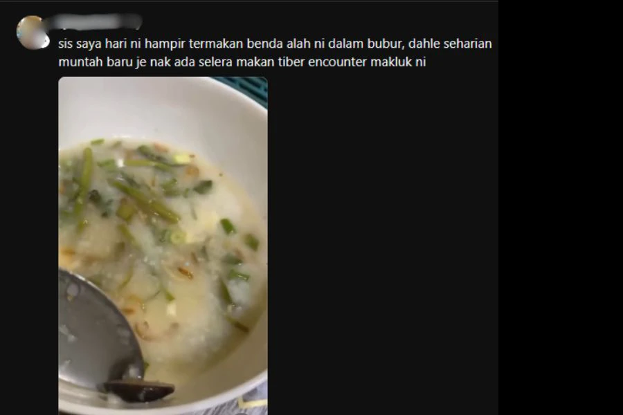 Ada juga netizen menjumpai lintah bulan dalam bubur dibeli.