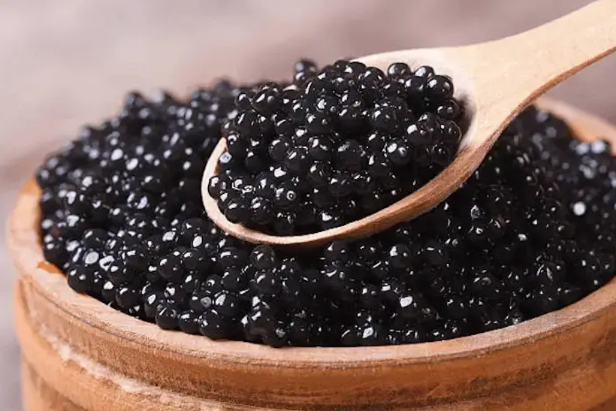 Harga beluga caviar boleh mencecah sekitar RM174 juta sekilogram.