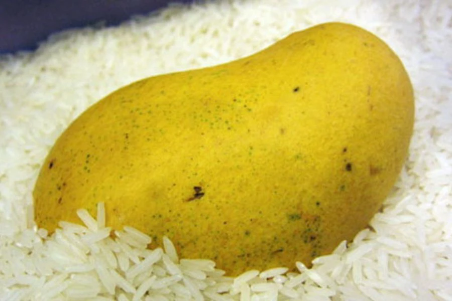 Buah yang disimpan dalam beras mentah membolehkan ia memerangkap etilena dan haba lalu cepat masak.