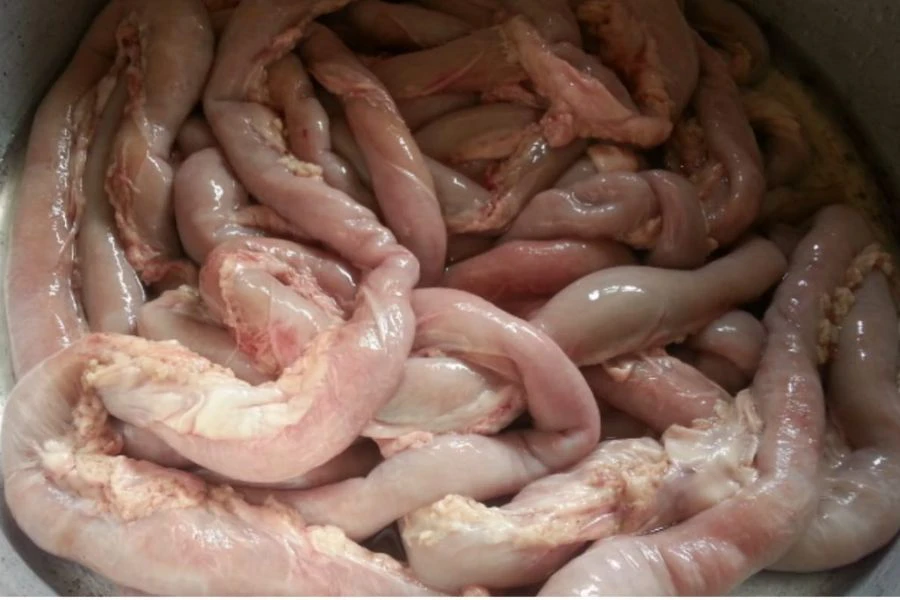 Abomasum pula dianggap sebagai perut sebenar lembu kerana fungsinya paling hampir dengan perut manusia.