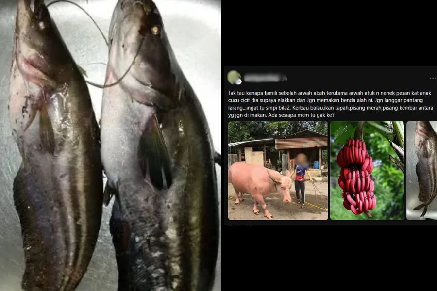 Seorang lelaki mencetus perhatian di Threads apabila mempersoalkan pantang larang makanan dalam keturunan keluarganya.