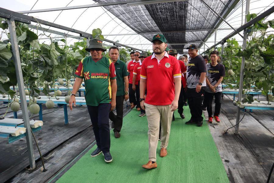Projek tersebut turut mendapat perhatian apabila Tengku Amir Shah Sultan Sharafuddin Idris Shahberkenan melawat fasiliti SSAP.