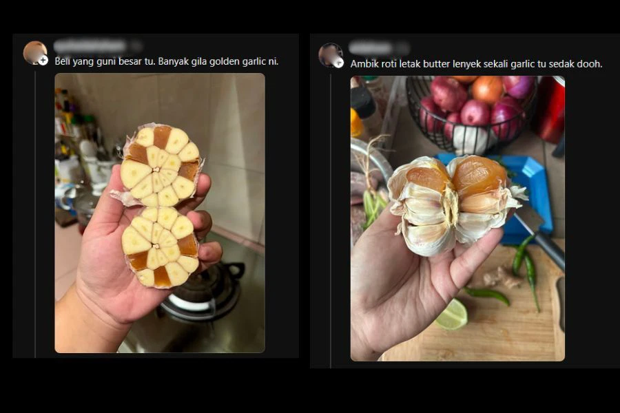 Perkongsian netizen turut menemui golden garlic.