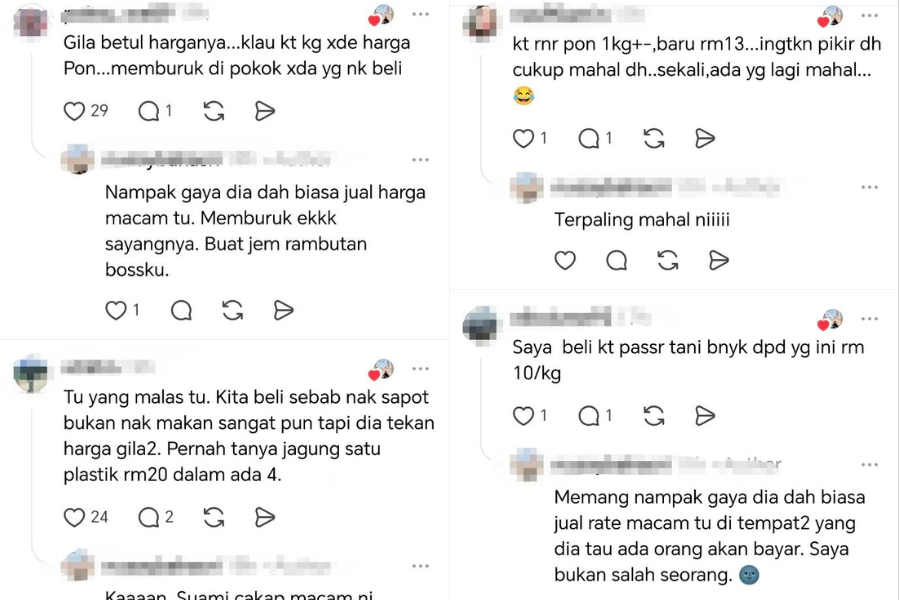Ramai netizen turut beranggapan harga rambutan yang dijual mahal dan berlebihan.