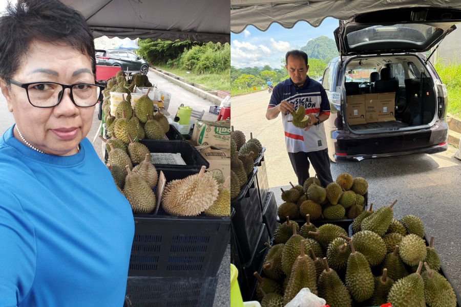 Difahamkan cikgu Saiful sering mengambil stok durian Musang King dari peniaga durian dikenali sebagai Tieok Eng di Gua Musang, Kelantan.