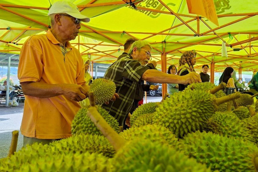 Pelbagai inisiatif dilaksanakan FAMA bagi membantu menstabilkan pasaran sepanjang musim durian.