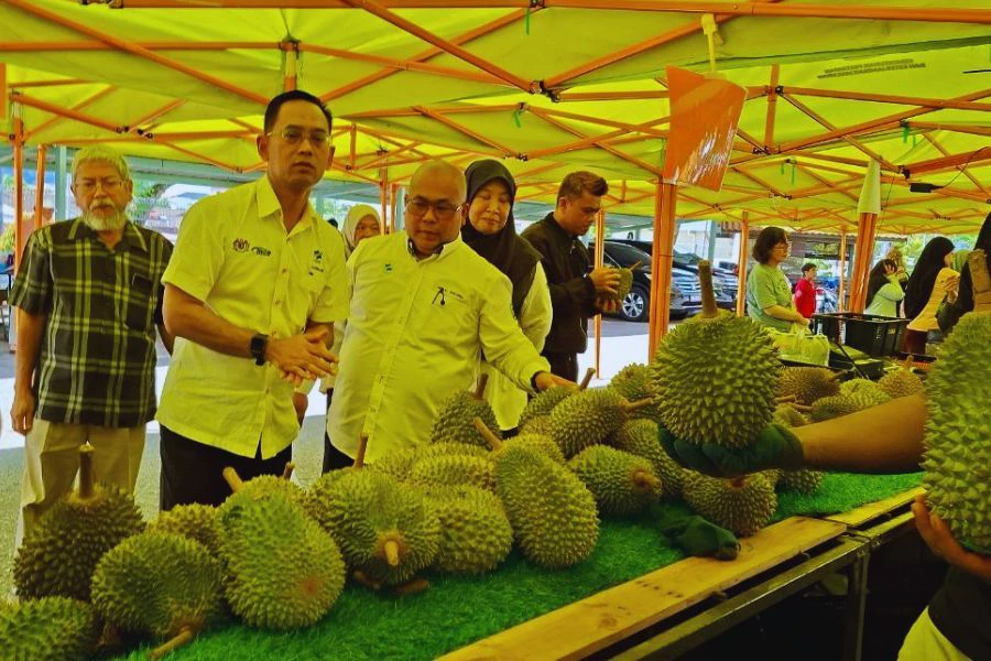 FAMA menggerakkan pelan intervensi dengan sasaran belian 300 tan metrik durian sepanjang musim 2026.
