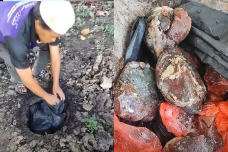 Pihak sekolah akhirnya mengambil keputusan untuk menanam semua daging berkenaan. 