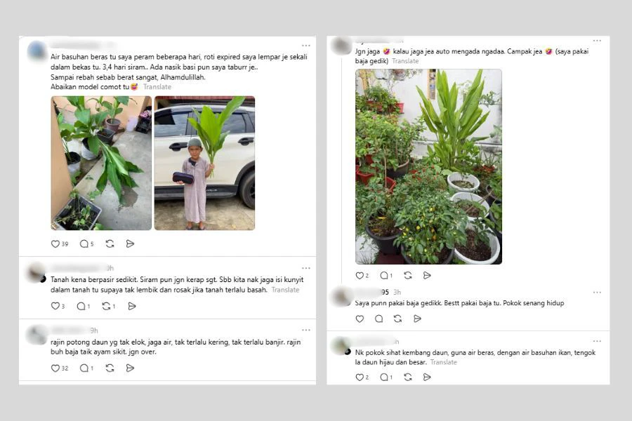 Netizen tidak kedekut berkongsi pelbagai petua berdasarkan pengalaman masing-masing.