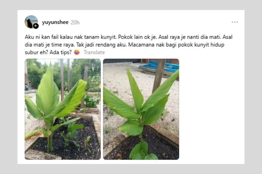 Perkongsian itu mengundang pelbagai komen dalam kalangan netizen.