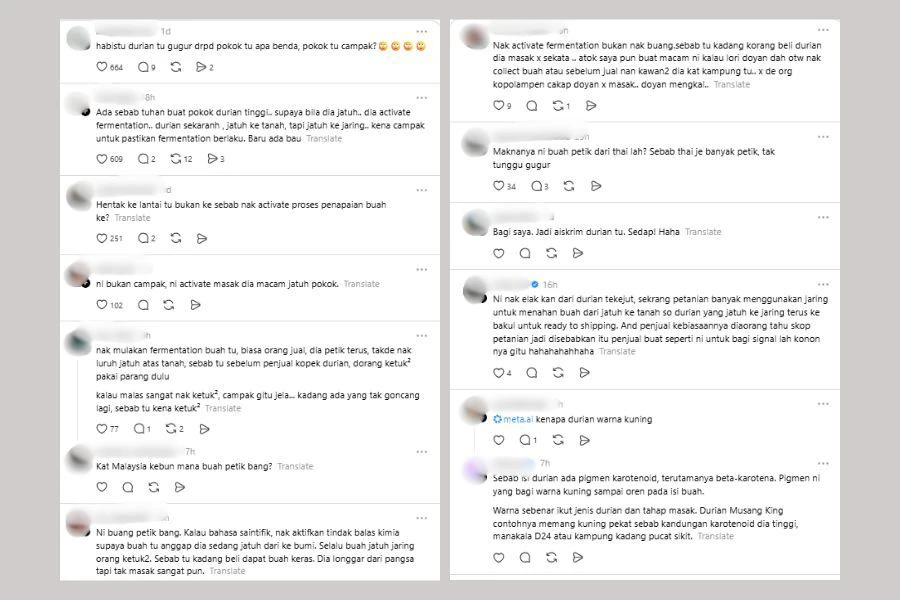Komen netizen di laman Theads.