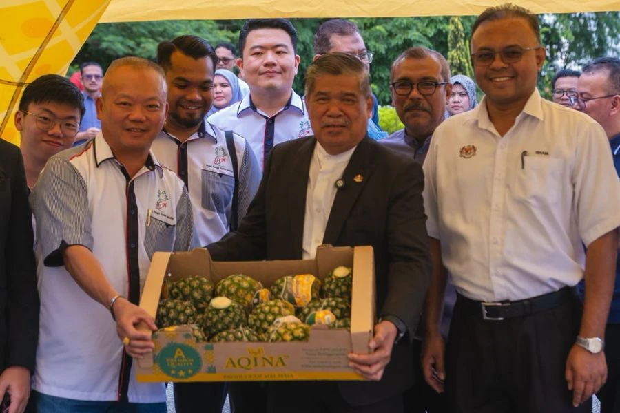 Eksport Nanas MD2 Malaysia ke pasaran New Zealand membuka peluang lebih luas buat pekebun dan industri tempatan.