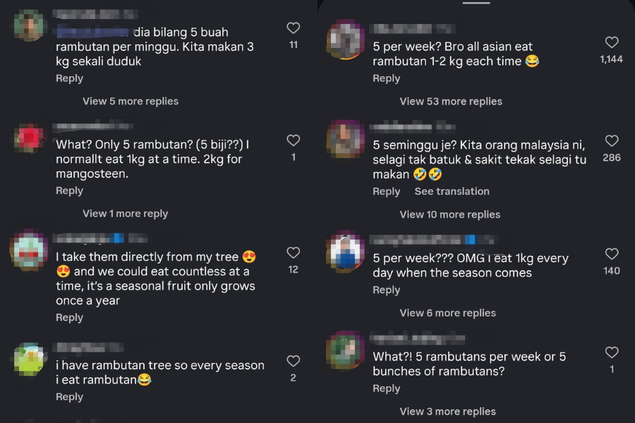 Komen netizen dari Malaysia tentang rambutan.
