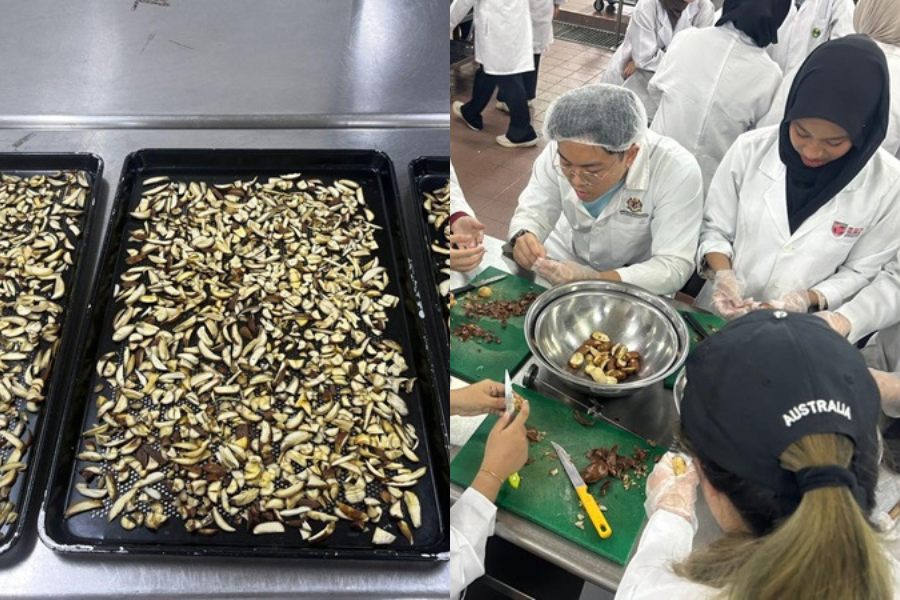 Inovasi biji durian yang diolah menjadi tepung roti telah dihasilkan pelajar dari UPM menerusi projek tahun akhir (FYP).