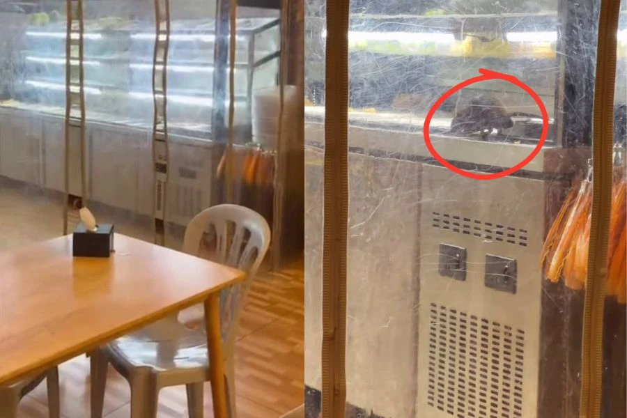 Rata-rata netizen meluahkan rasa jijik selain menggesa supaya perkara itu dilaporkan kepada pihak berkuasa.