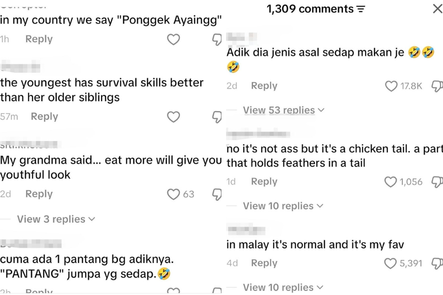 Beberapa komen netizen terhibur melihat gelagat tiga orang kanak-kanak pertama kali menikmati tongkeng ayam.