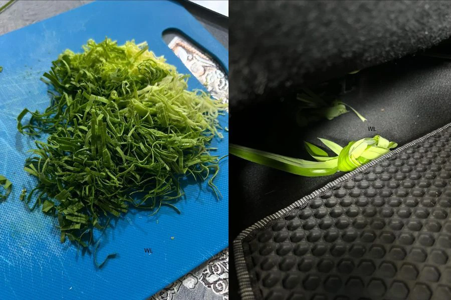 Tidak semua individu serasi dengan bau daun pandan kerana ada yang mengakui tetap mengalami pening selepas menghidu bau tersebut.