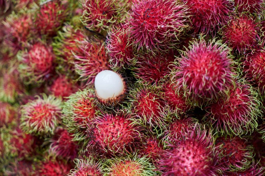 Sebahagian netizen mendedahkan pajeri rambutan sebenarnya bukanlah menu asing kerana mereka sudah menikmatinya sejak kecil.