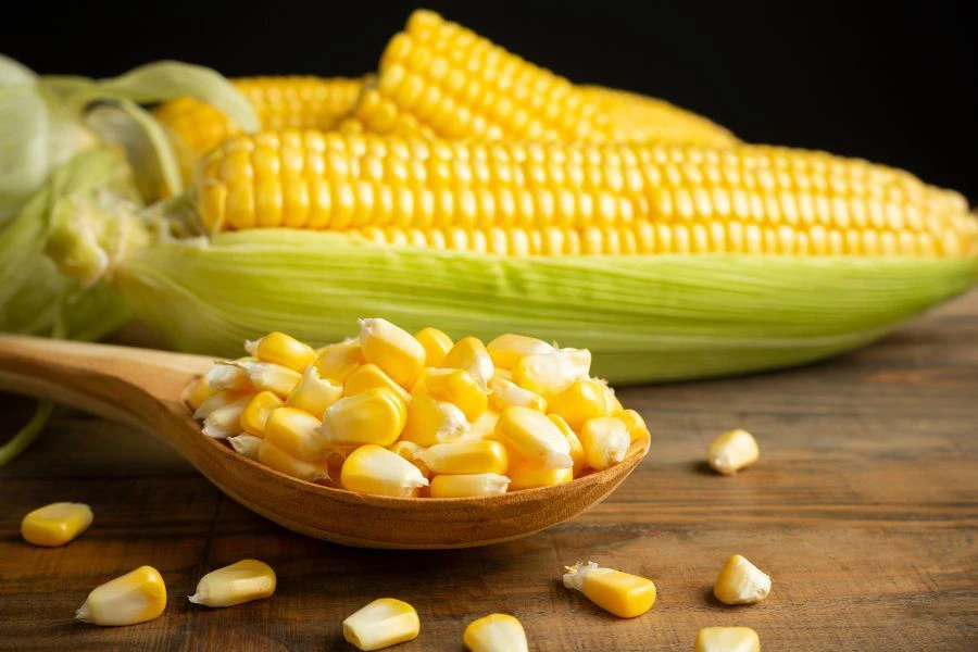 Ada yang menyarankan supaya garam tidak dimasukkan terlalu awal kerana dikatakan boleh mempengaruhi tekstur jagung selepas dimasak.