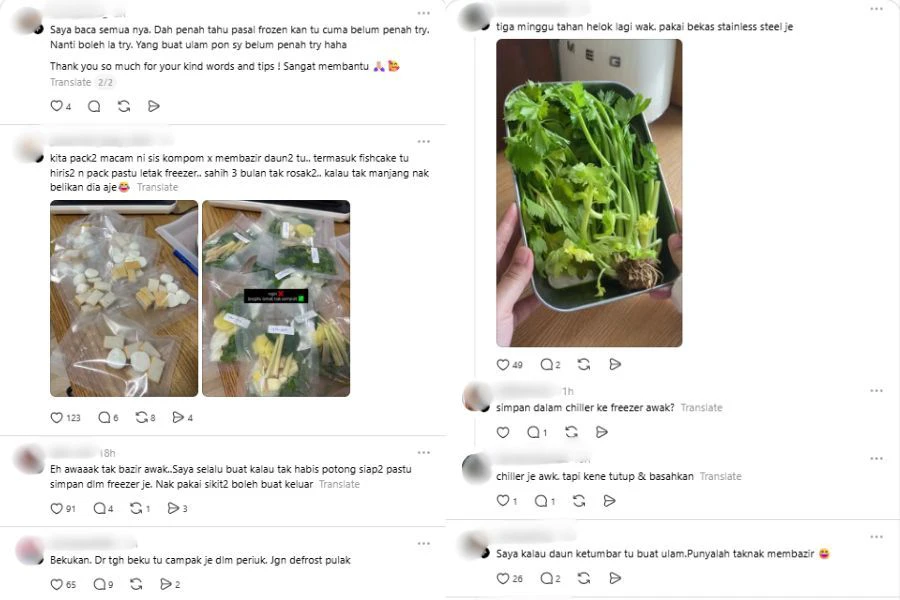 Netizen mencadangkan agar daun-daun tersebut dibekukan.