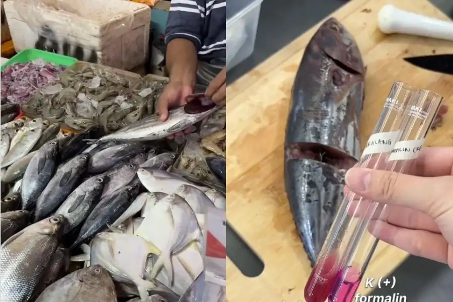Ikan yang disyaki mengandungi formalin juga dikatakan tidak mengeluarkan bau hanyir.