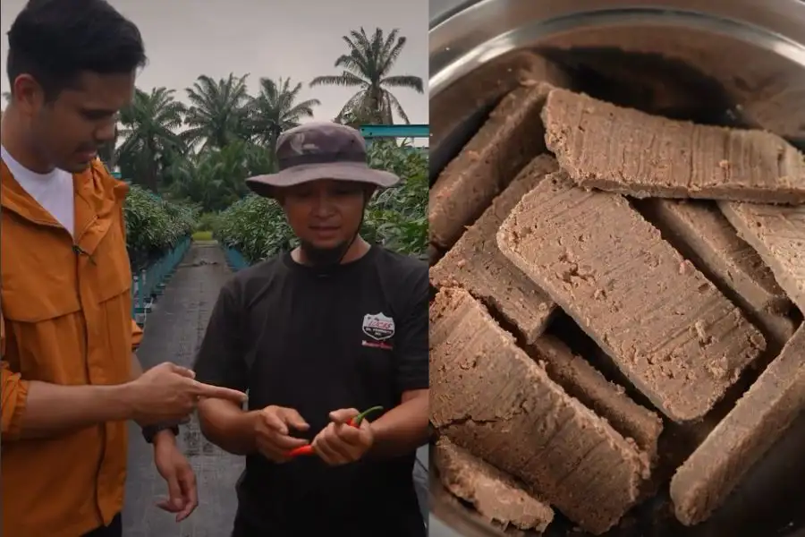 Khairul Aming turun padang bagi memastikan bahan tempatan digunakan berkualiti.