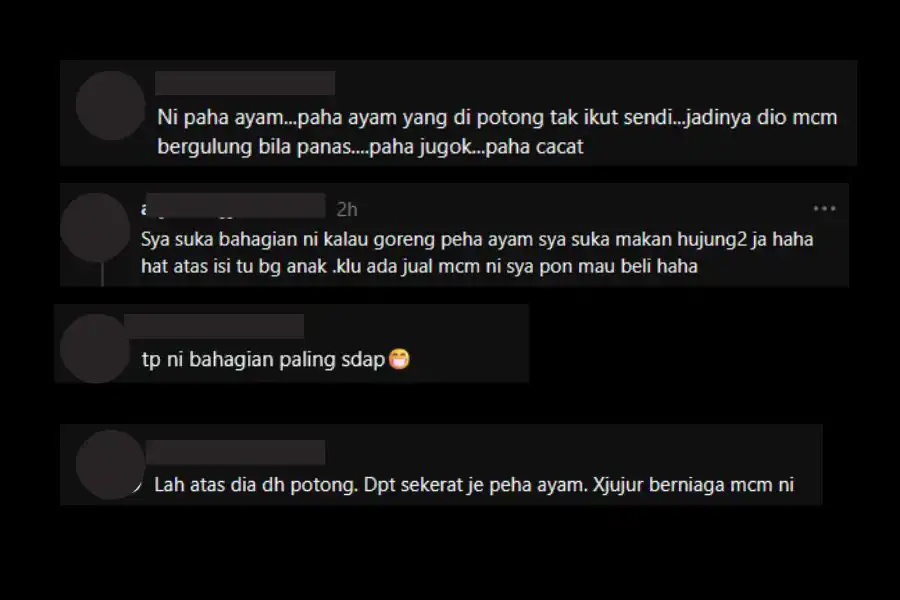Perkongsian pandangan netizen.