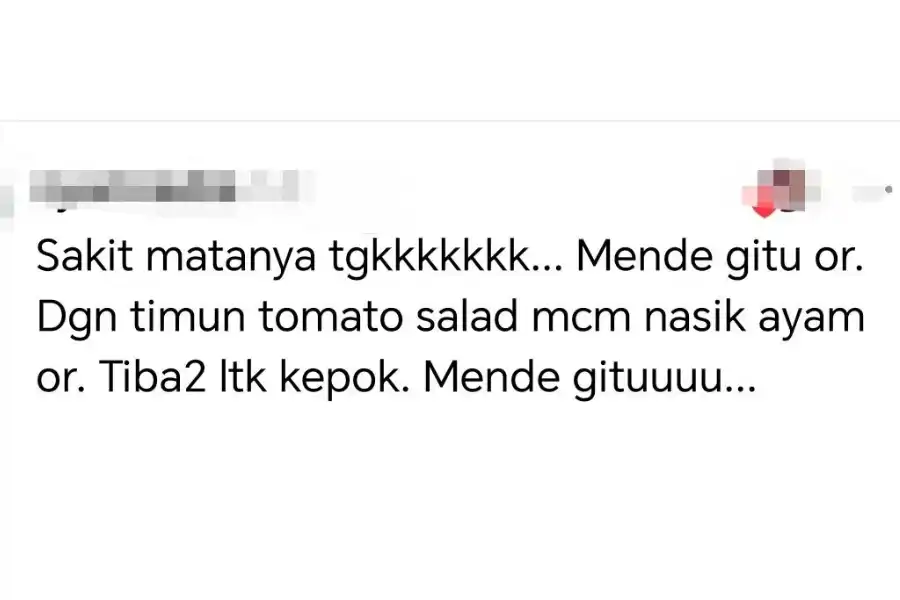 Seorang netizen menyifatkan hidangan chicken grill itu seperti kombinasi nasi ayam.