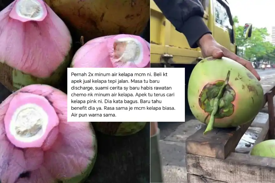Seorang pengguna berkongsi pengalaman pernah merasai air kelapa tampuk merah ketika menjalani rawatan kimoterapi.