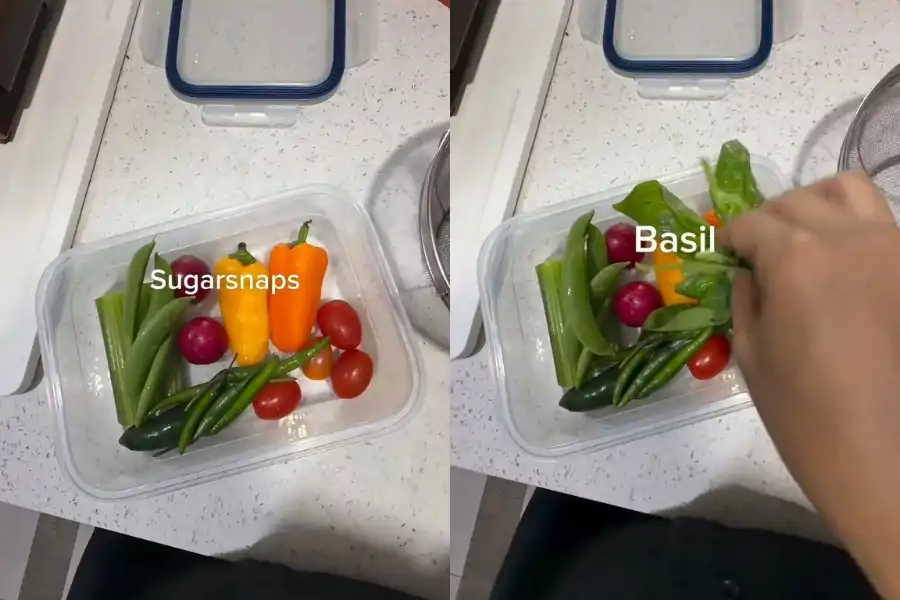 Bekal berupa snack box yang disediakan Mimi memang seimbang dan berkhasiat.